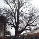 ���� �����, ������, 46 ��� - ��������� 10 ������ 2019 � ������ ���� ����������