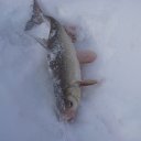 ���� ������, ��������������, 46 ��� - ��������� 21 ������� 2019 � ������ ���� ����������