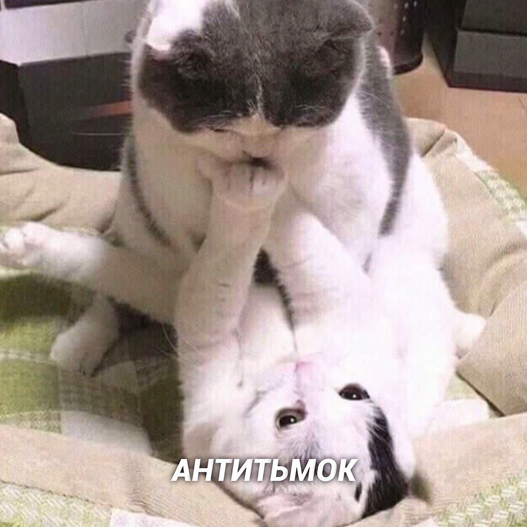 Bu o: - 5