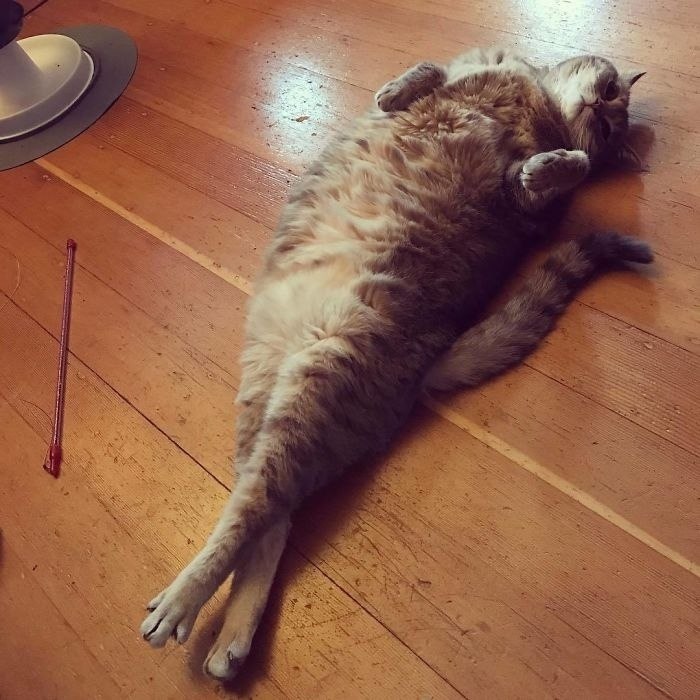          ,  