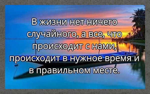 ☆ ☆ - 19  2019  04:15