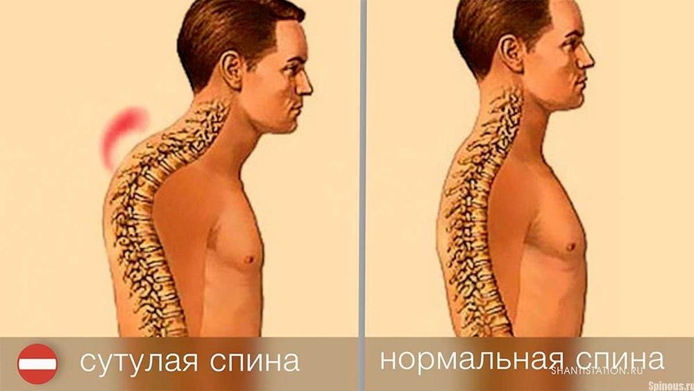 a a   .  ,  ,    ,  ...