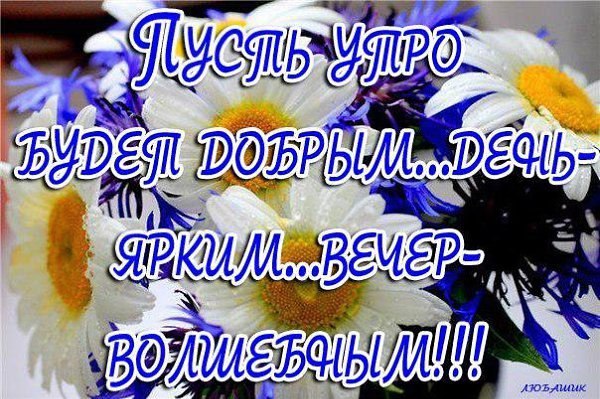   - 11  2019  15:34