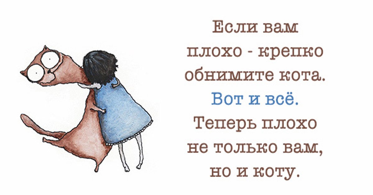 Вот и все это было. Шутки про обнимашки. Высказывания про обнимашки. Если вам плохо крепко обнимите кота. Объятия юмор.