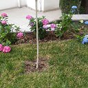 , ,20.06.19.8.50.    - 2019