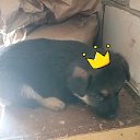 ���� ���������, �����������, 53 ���� - ��������� 23 ���� 2019 � ������ ���� ����������