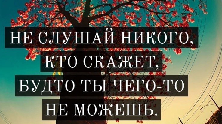     - 3  2019  03:31