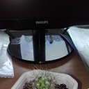 ���� ������ �������������, ������, 53 ���� - ��������� 17 ���� 2019 � ������ �������