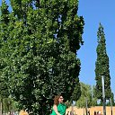 ���� ������, ����� - ��������� 25 �������� 2019 � ������ ���� ����������