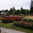  , , 70  -  15  2019   CA_2019_San Jose_Rose Garden_2