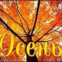 ���� ����������, �����, 58 ��� - ��������� 8 ������� 2019 � ������ ���� ����������