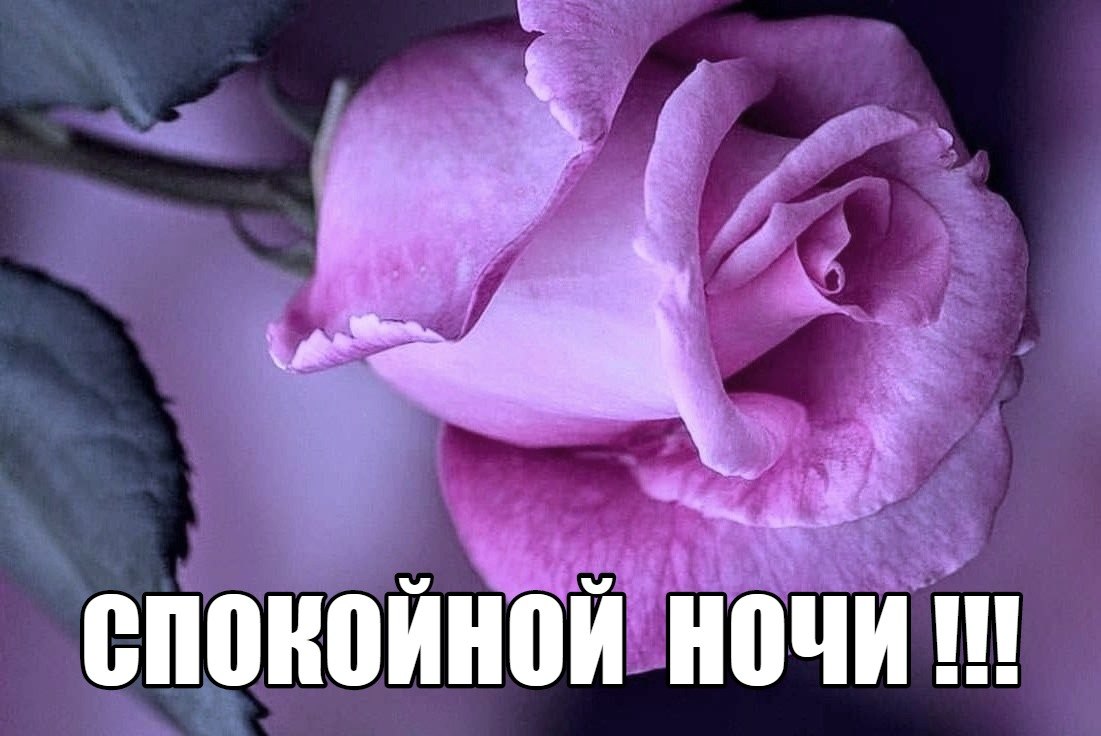   ,    . - 15  2019  22:49