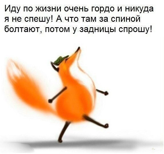 Иду по жизни гордо, С поднЯтой головой. Пока не дали в "морду", Возможно и ногой. За ...