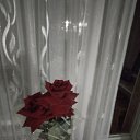���� ����, ��������, 62 ���� - ��������� 2 ������ 2019 � ������ ������ ��������