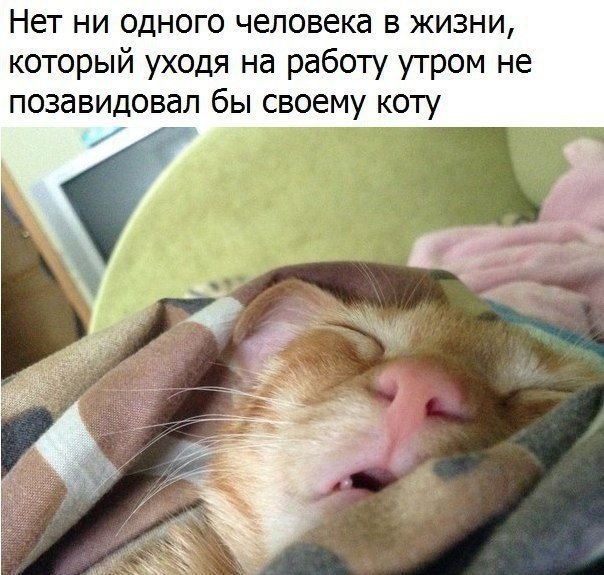  )