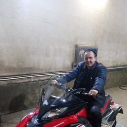 ������, ������, 43 ����