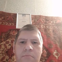���� ������, ������, 49 ��� - ��������� 22 ������� 2019
