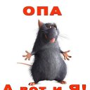 ���� ���, �������, 54 ���� - ��������� 1 ������ 2020 � ������ ���� ����������