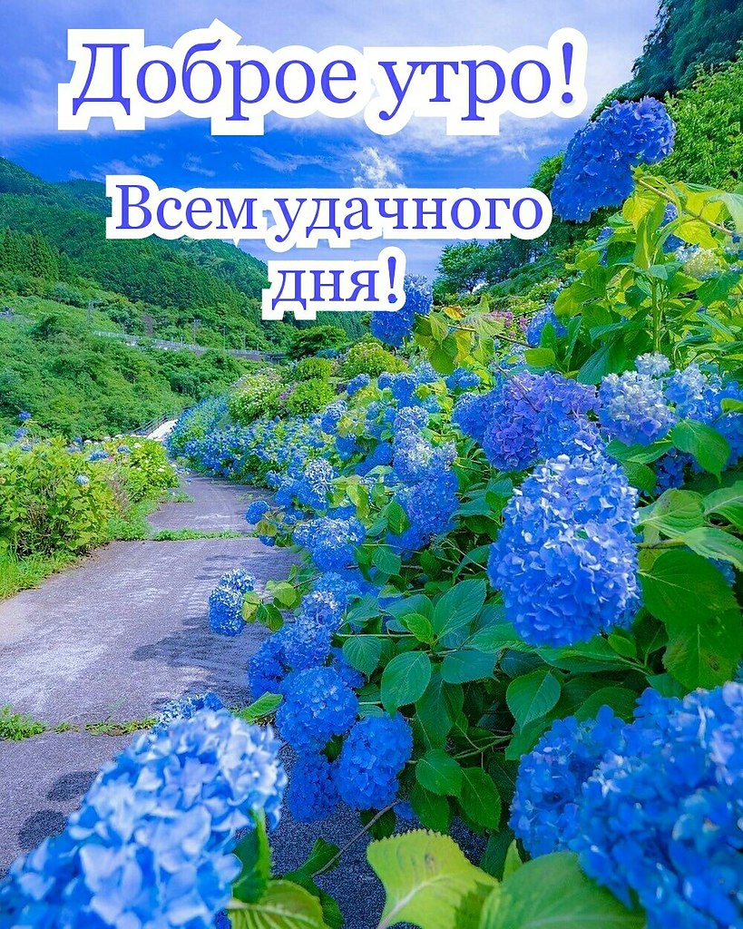   ,    . - 12  2019  00:59