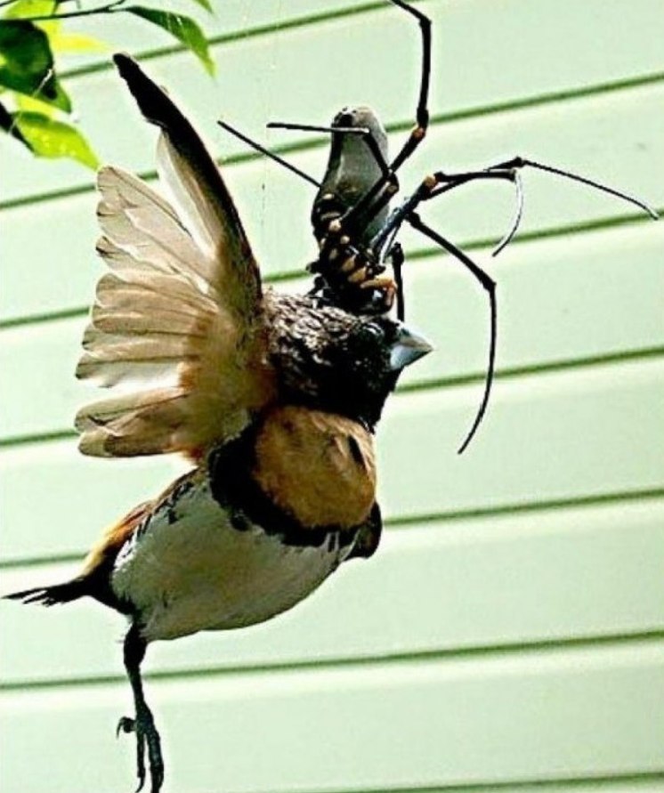 Aca  eco, e o e co oe. - 8