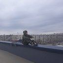 , , 37  -  3  2019    