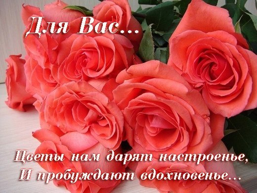   ,    . - 31  2019  13:01