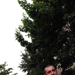 ���� �����, �����-���������, 43 ���� - ��������� 23 ���� 2019