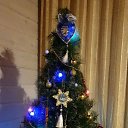  ,   , 47  -  24  2019    