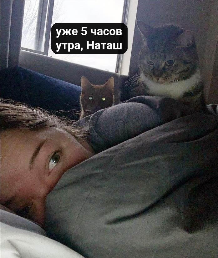 .  . . - 2