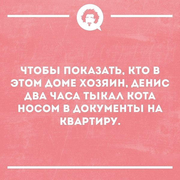   - 13  2019  03:49
