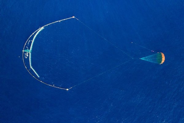 Система Ocean Cleanup, которая предназначена для очистки воды от отходов, возобновила ... - 2