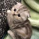 ���� �������, ����� - ��������� 11 ������� 2019 � ������ ������ ��������