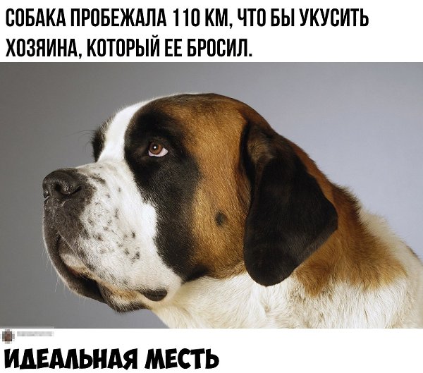  - 4  2019  03:39