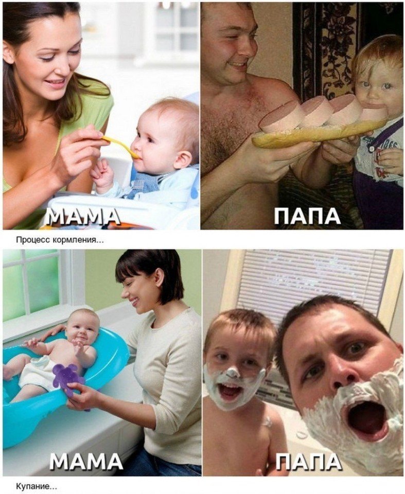   ,     - 6