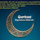 ���� Arastun, ����, 48 ��� - ��������� 12 ������� 2019 � ������ ������ ��������