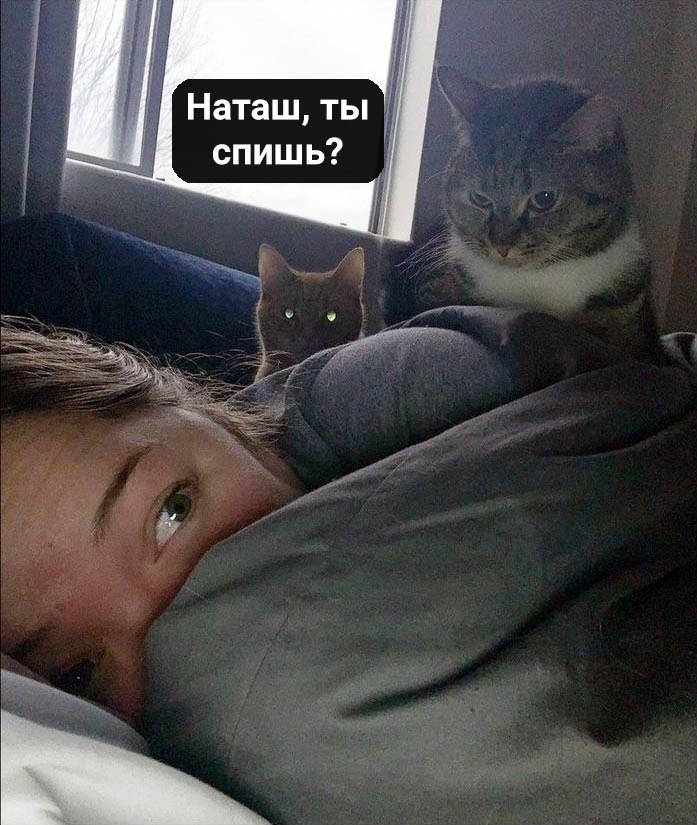 .  . .
