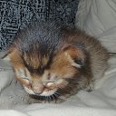  ,  -  23  2019      2019