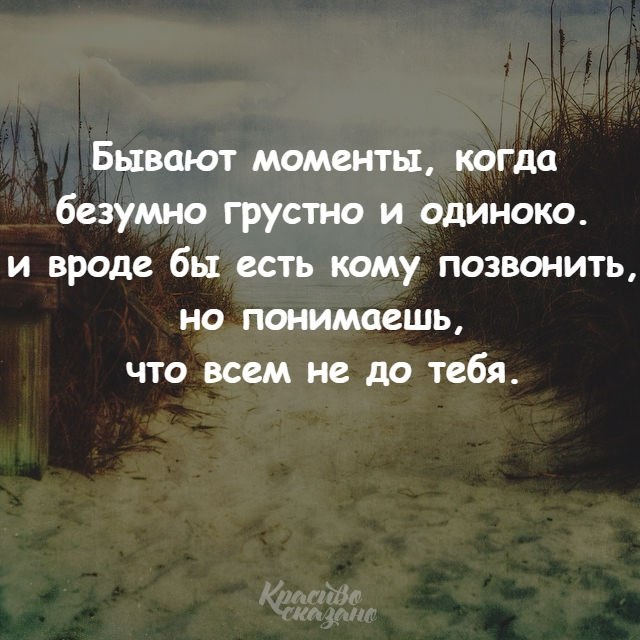   . . . - 11  2019  02:51