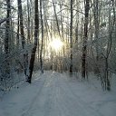 ���� ������, ������, 67 ��� - ��������� 28 ���� 2019 � ������ ���� ����������