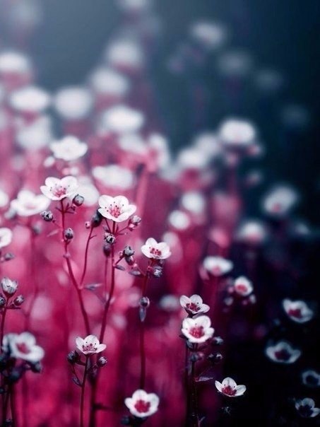 Art & Fun - 29  2019  03:46
