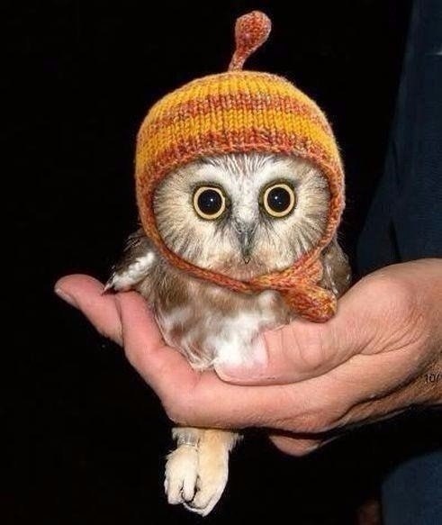 � ������, ��� ������� � ������� �������� �������� ���� ��������� �����