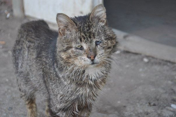  x    o  c ,   e,   y.