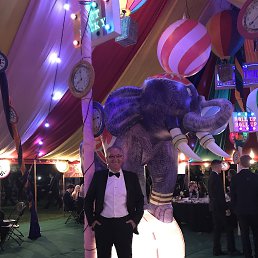 ���� ������, �����-���������, 54 ���� - ��������� 14 ������� 2019