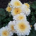 ���� Oksana, ������ - ��������� 11 ������ 2020 � ������ ���� ����������