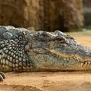 ���� Gennady, �������, 43 ���� - ��������� 10 ������� 2020 � ������ ������ ��������
