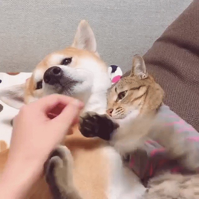    .  !