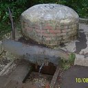 ���� ����, ����, 55 ��� - ��������� 8 ������� 2020 � ������ ���� ����������