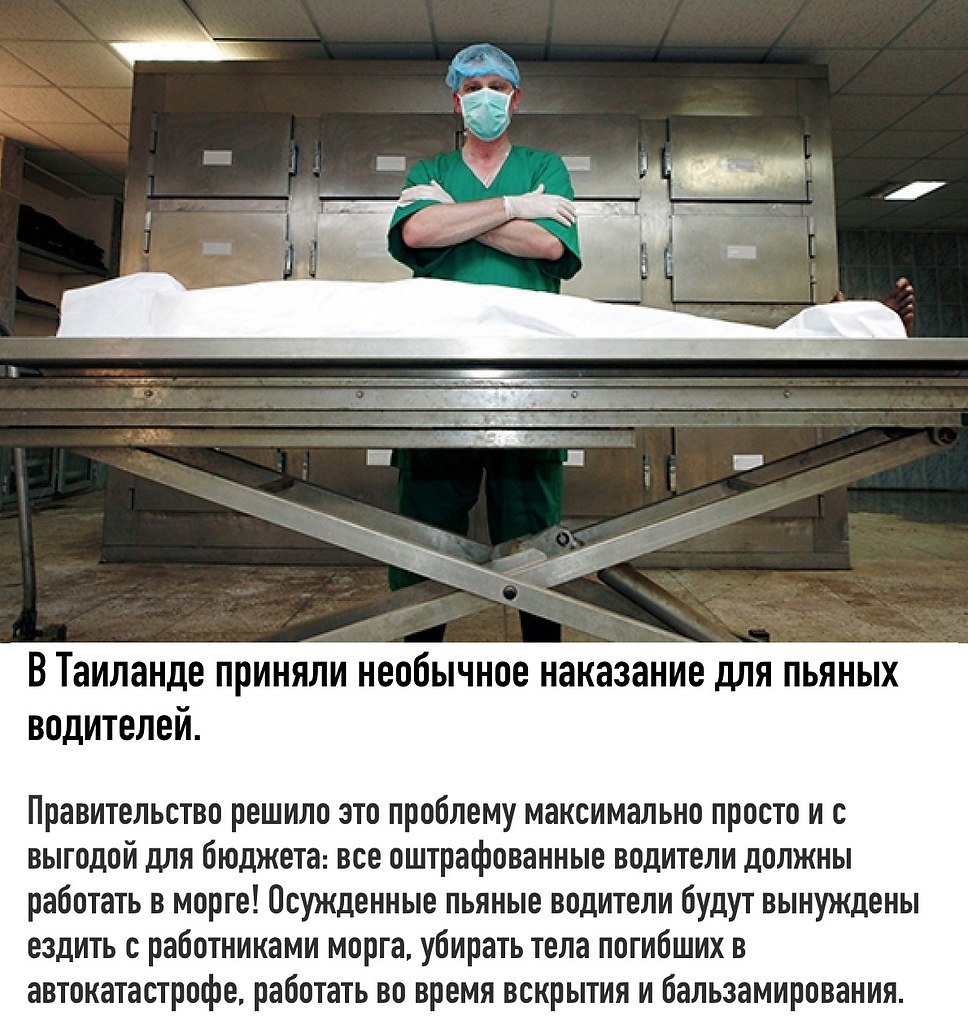 Сколько зарабатывает человек который работает в морге. Шутки про патологоанатомов. Санитар патологоанатомического отделения. Шутки про патологоанатомов. Сколько зарабатывает человек который работает в морге.