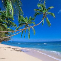 �����, �����, 35 ���