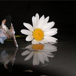 ���, ���������